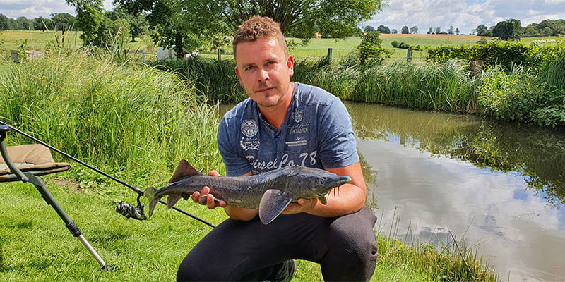 Teiche zur Fischaufzucht und zum Angeln - der Peenehof in Mecklenburg-Vorpmmern